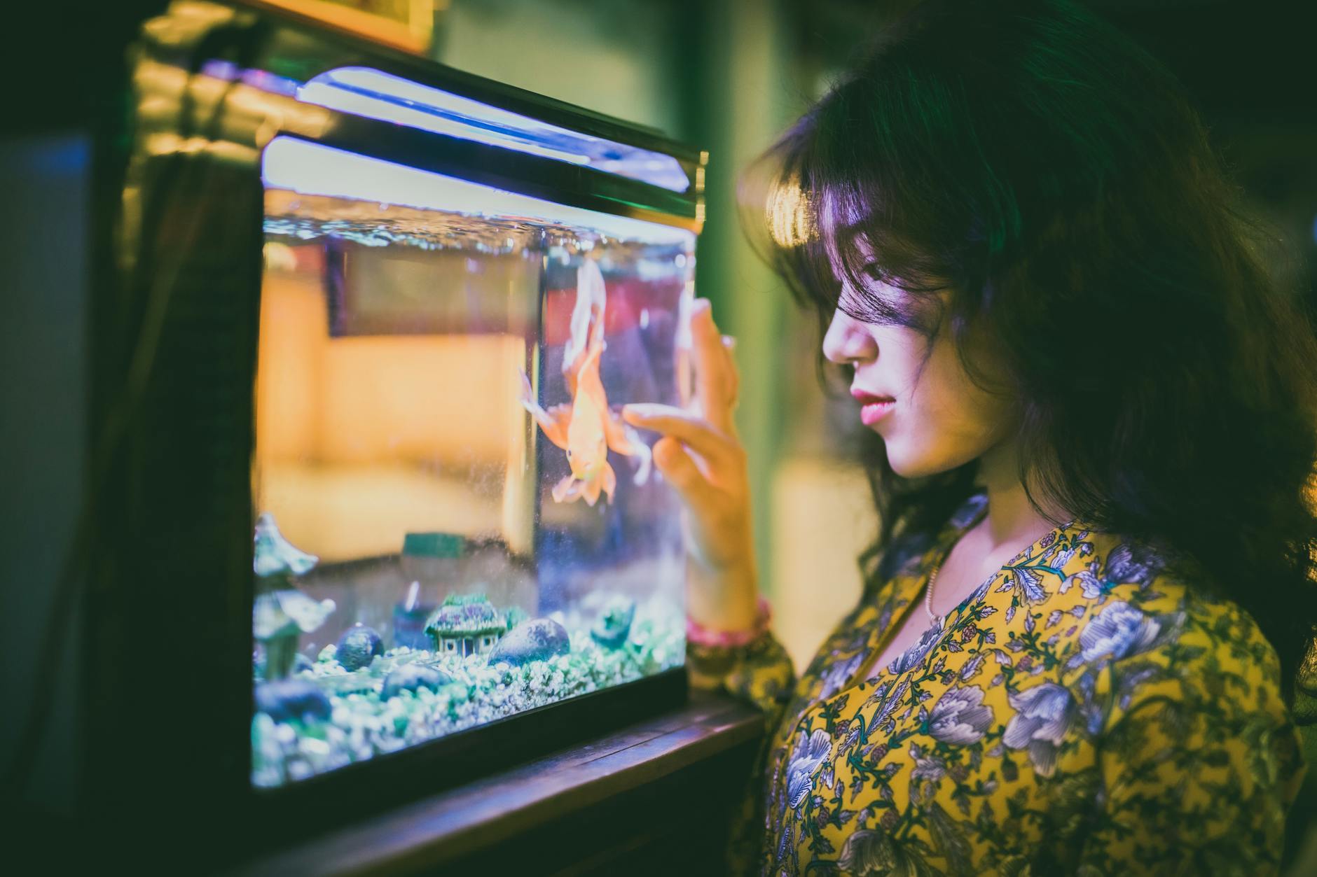 Người chơi đang canh góc bắn và chọn mục tiêu trong game bắn cá